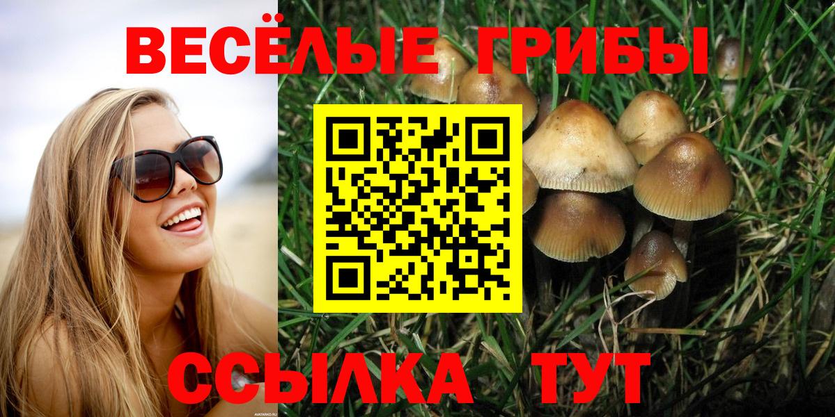 Братск  Галлюциногенные грибы ЛСД  Вход с VPN 